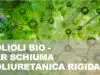 polioli bio per schiuma poliuretana rigida